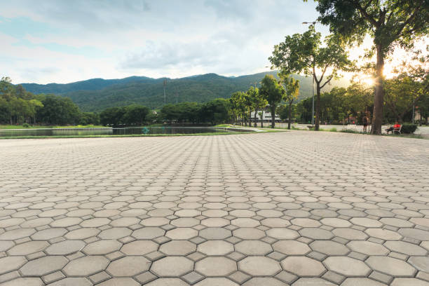 Best Paver Driveway Replacement  in Auxvasse, MO